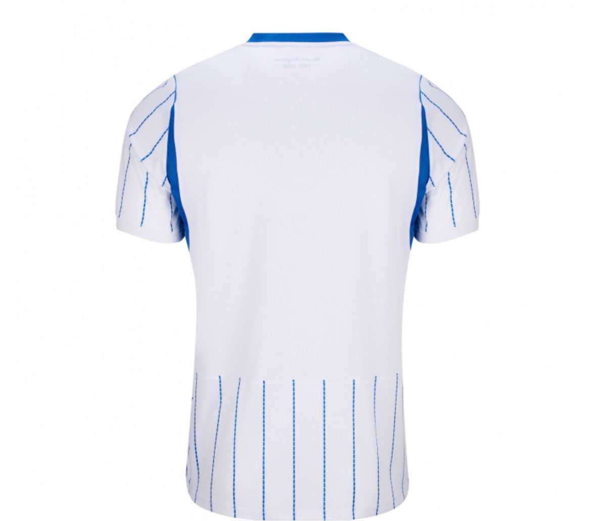 Brighton 26/27 Away Shirt